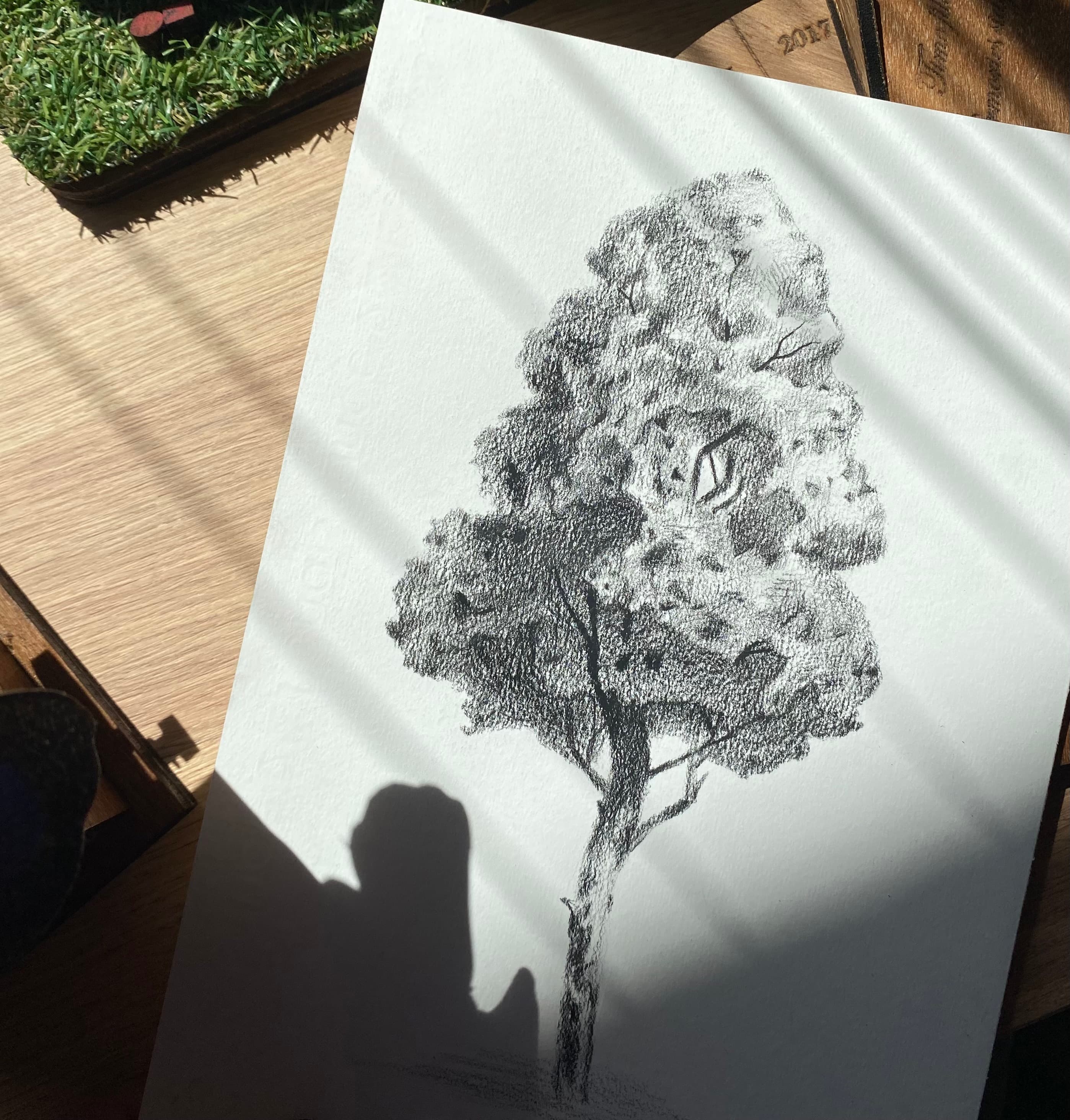 Tree-mendous